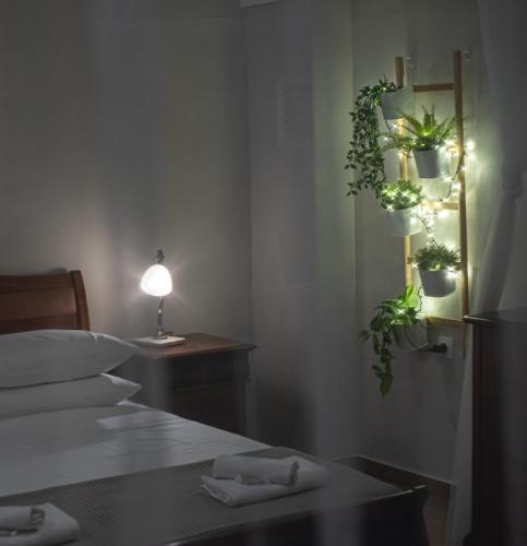 Central Calm Apartment