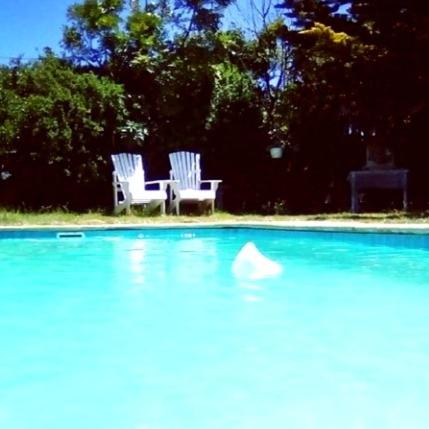 two white chairs sitting next to a pool of water at Lavender Cottage in Cape Town