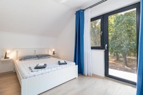 ein Schlafzimmer mit einem Bett und einem großen Fenster in der Unterkunft Zola Guest House in Oradea