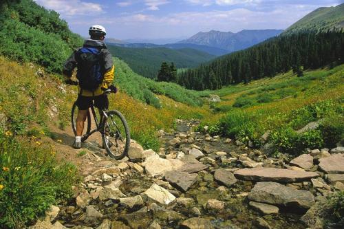 Jazda na bicykli v okolí ubytovania Fresh and Airy Condo in downtown Breck!