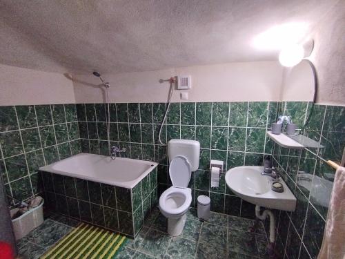 Baño de azulejos verdes con aseo y lavamanos en Rotwild House, en Bicfălău