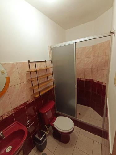 a bathroom with a toilet and a shower and a sink at Bijao Hostel in Tarapoto