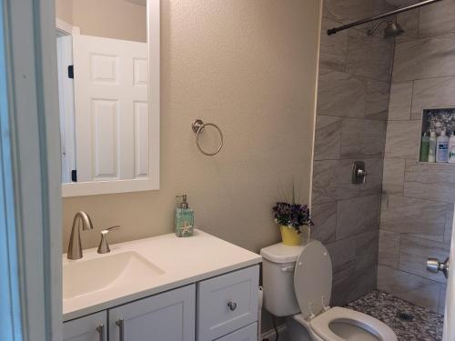een badkamer met een toilet, een wastafel en een douche bij Attractive house in the center of Milton in Milton