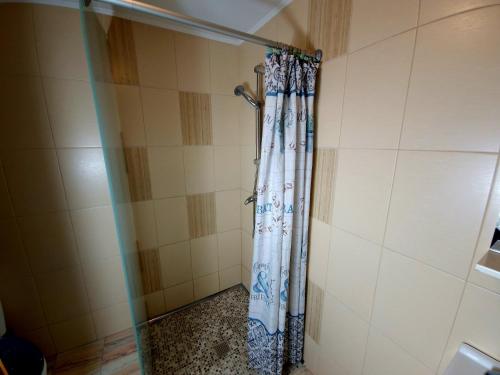 y baño con ducha y cortina de ducha. en Mehadica House en Mehadica