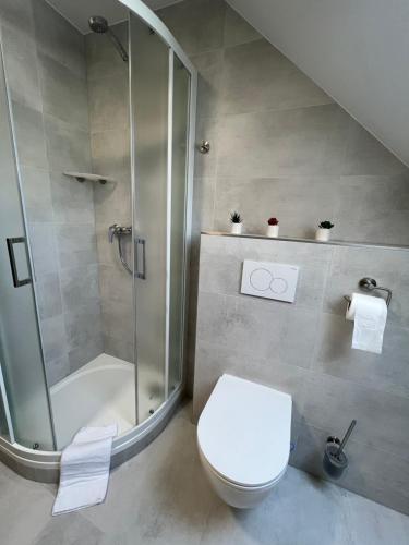 een badkamer met een douche, een toilet en een wastafel bij Ubytování pod Troskami in Rovensko pod Troskami