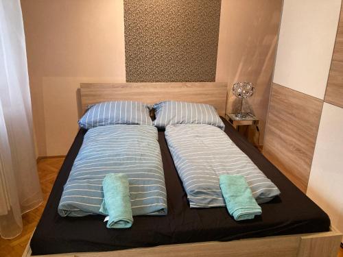 Roland Apartment Downtown - Pozsonyi