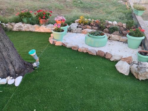 a garden with rocks and plants in a yard at LOUKIA'S HOUSE in Skala Kallirakhis