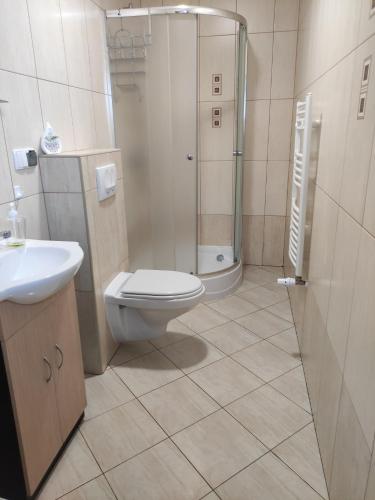 un bagno con doccia, WC e lavandino di Domek pod brzozami a Grzybowo