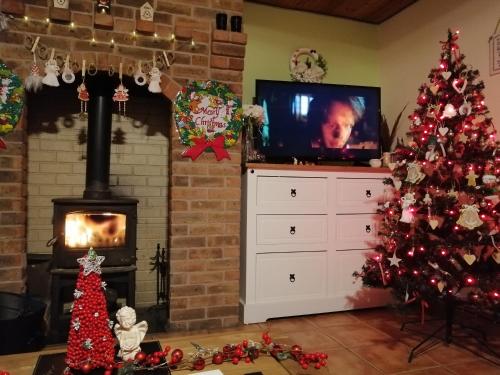 a living room with a christmas tree and a television at Crover Cottage Twin Room with Lake View in Mountnugent