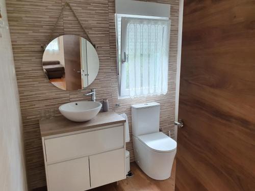 uma casa de banho com um WC, um lavatório e um espelho. em vivienda vacacional casa tames em Ribadesella