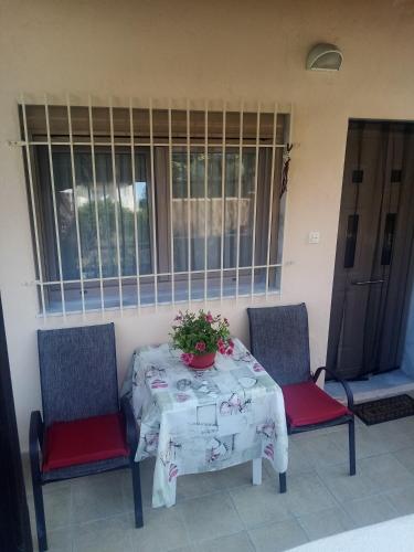 einem Tisch mit zwei Stühlen und einer Pflanze darauf in der Unterkunft Haras'house in Asvestokhórion
