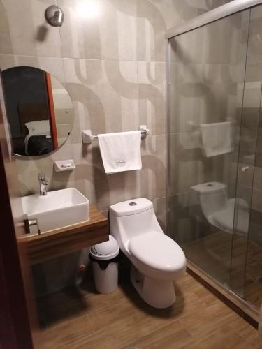 uma casa de banho com um WC, um lavatório e um chuveiro em Hotel Santino em Toluca