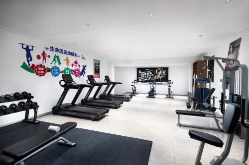 Фитнес-центр и/или тренажеры в Holiday Inn & Suites Sanya Yalong Bay