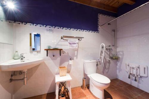 a bathroom with a toilet and a sink at Hotel Rural Piedra Abierta in San Martín de Perapertú