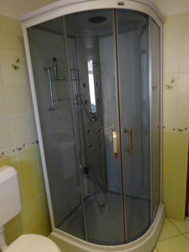a glass shower in a bathroom with a toilet at Happy Mammy Bababarát Vendégház Fészek utca in Orosháza