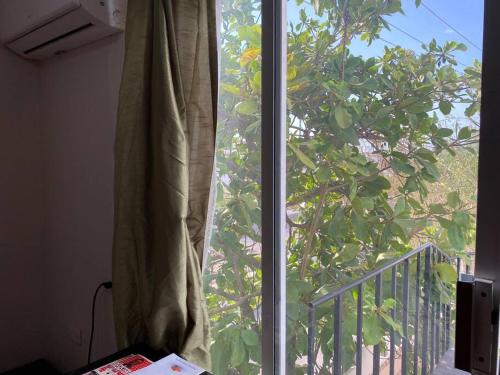 una ventana en una habitación con vistas a un árbol en Capistrano Suites, en Hermosillo