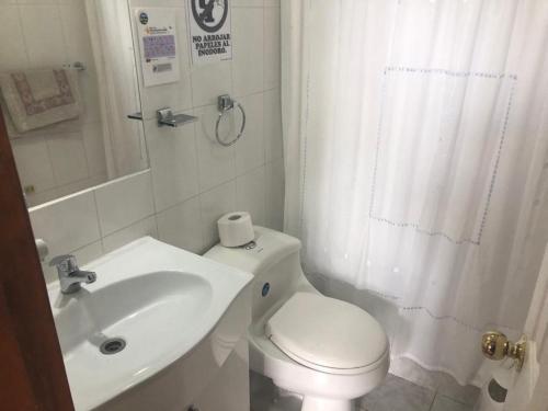 パンギプジにあるCabañas Ruka Rayun vista y acceso al lago en Coñaripeの白いトイレと洗面台のあるバスルーム