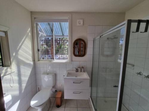 a bathroom with a sink and a toilet and a window at Bellshala bungalow in Bellbrae