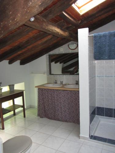 a bathroom with a sink and a mirror at Chambres d'hôtes Les Pieds dans l'herbe in Saint-Julien-Gaulène