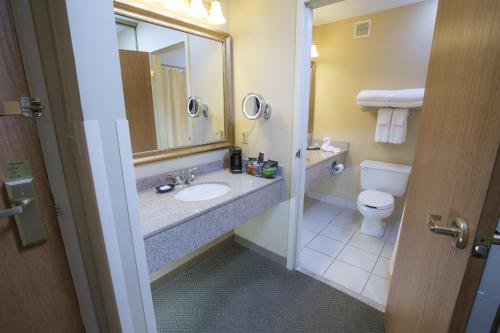 a bathroom with a sink and a toilet and a mirror at Swan Lake Resort in Plymouth