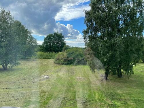 a field with a tree in the middle of it at Nice apartment in Maardu in Maardu