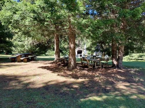 a group of picnic tables under trees in a park at Rifugio Di Pace in Folgaria