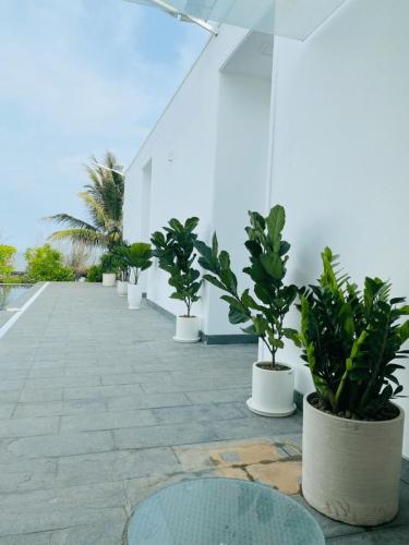 Oceanami Villas 3pn – Photos 3