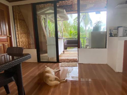 een hond op de vloer in een woonkamer bij Beach House and Attic in Mahuyabhuyab