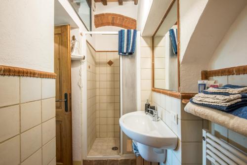 La petite salle de bains est pourvue d'un lavabo et d'une douche. dans l'établissement Casa indipendente nel Chianti, à Castelnuovo Berardenga
