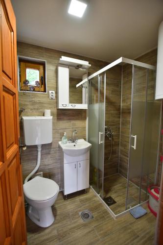 a bathroom with a toilet and a shower and a sink at Brvnara Vila Promaja in Kladovo