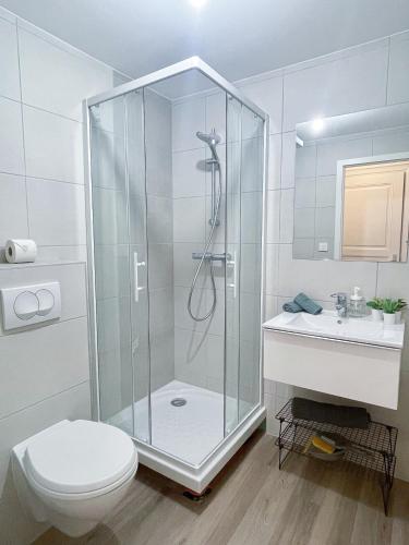 une salle de bain avec une douche, des toilettes et un lavabo dans l'établissement Le petit épicier, à Mulhouse