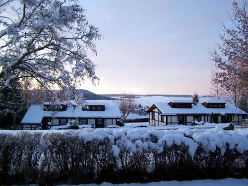 巴特迪爾海姆的住宿－Feriendorf Öfingen 08，院子前的雪覆盖的房子