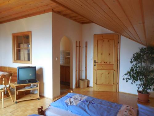 ein Wohnzimmer mit einem TV und einer Tür in der Unterkunft Naturpark Bauernhof Sperl in Mariahof