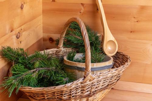 a basket with plants in it on a wooden wall at Steinbach Loft in Ultimo