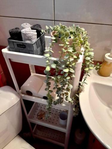 uma planta numa prateleira ao lado de um lavatório de casa de banho em Sady's House em Yimnón