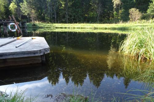 a dock on a lake with trees in the background at Gästehaus Biobauernhof Mandl in Murau