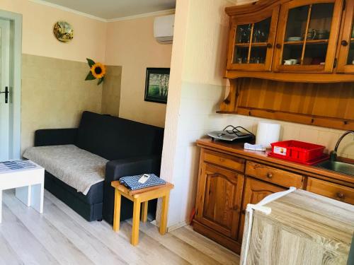 a small living room with a couch and a table at Holiday Home 108 in Bezdan