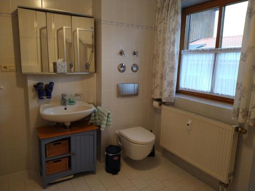 a bathroom with a sink and a toilet and a window at Ferienwohnung Achental in Marquartstein