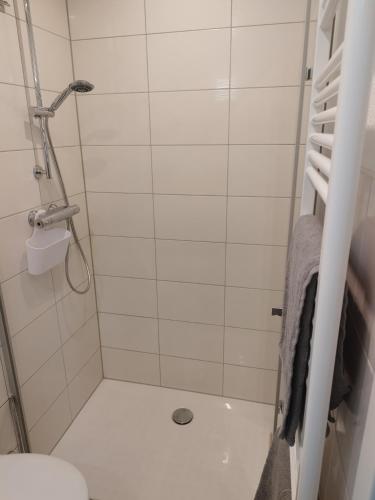 a small bathroom with a shower with a toilet at Ferienwohnung Bianca in Nordhausen