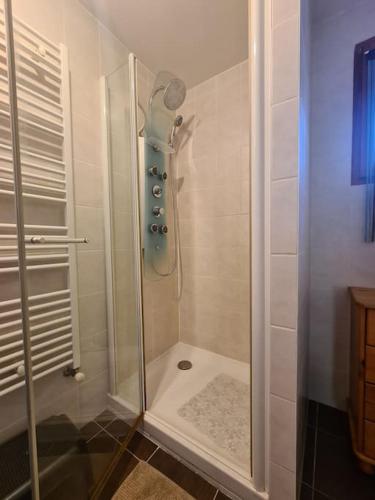 une douche avec une porte vitrée dans une salle de bain dans l'établissement Superbe appartement avec terrasse, à Passy