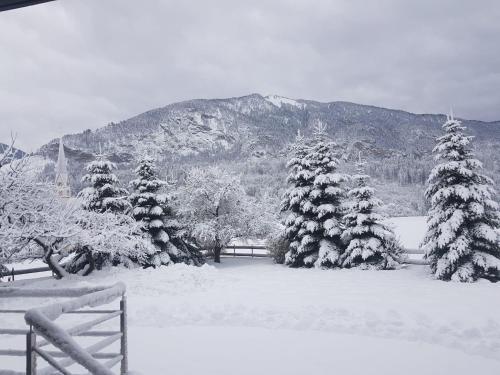 a snow covered field with trees and a mountain at Pension Ferienwohnung Pirhofer in Kramsach