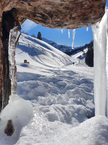 a view of a snow covered slope with icicles at Pension Ferienwohnung Pirhofer in Kramsach