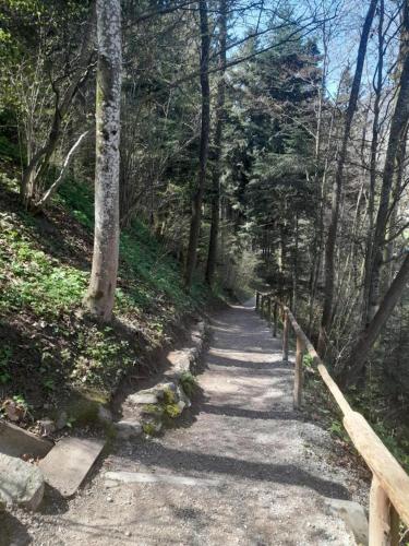 a path in a forest with a wooden fence at Pension Ferienwohnung Pirhofer in Kramsach