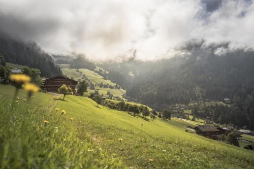 a grassy hill with a view of a valley at Pension Ferienwohnung Pirhofer in Kramsach