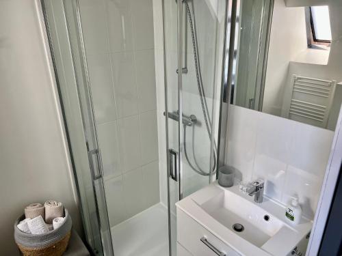 un bagno con doccia e lavandino di Le P'tit Charmant : centre historique de Dijon a Digione