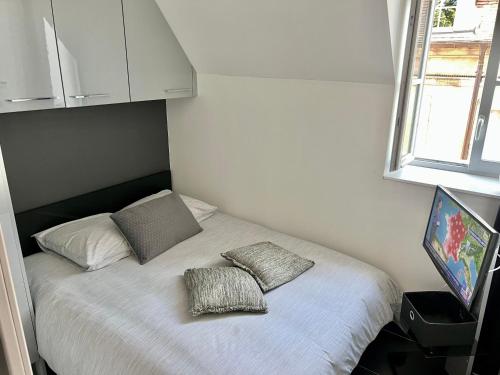 una camera da letto con un letto con due cuscini sopra di Le P'tit Charmant : centre historique de Dijon a Digione