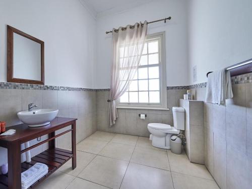 ein Bad mit einem Waschbecken, einem WC und einem Fenster in der Unterkunft The Sunbird Guesthouse in Gingindlovu