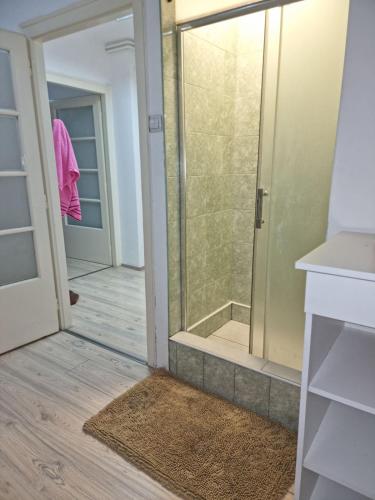 a bathroom with a shower with a glass door at Marakana Apartment-free parking space 2 in Dedinje