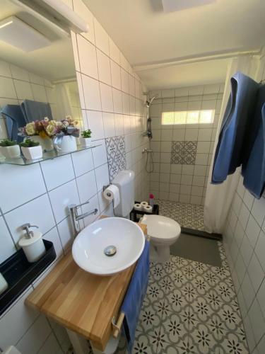 uma casa de banho com um lavatório e um WC em Illésék Portája em Mindszentkálla