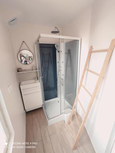 a bathroom with a walk in shower and a ladder at Le Petit Nogentais in Nogent-le-Roi